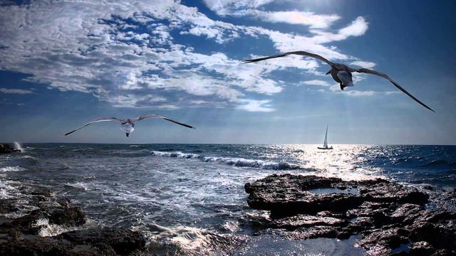 Шум Моря. Крики Чаек. Морской Прибой. Бушующие Волны