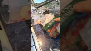 меню на день спасибо за просмотр