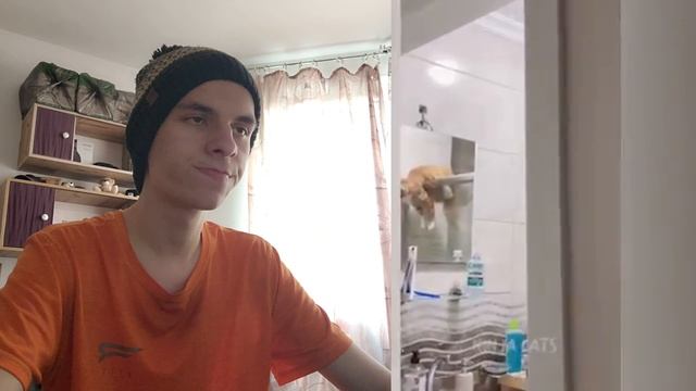 ВИДЕО СО СМЕШНЫМИ ЖИВОТНЫМИ