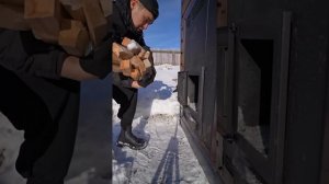 свежий улов румяная прожарка