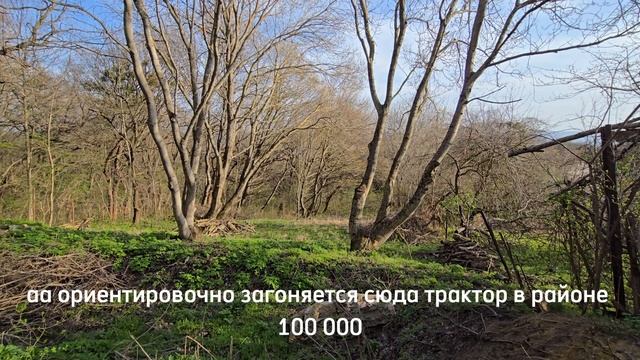 Лесная Поляна.mp4 смотреть онлайн