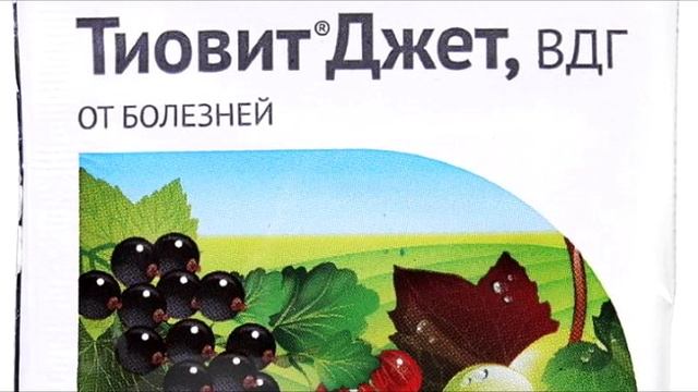 1-я серия. ПРЕПАРАТЫ ЗАЩИТЫ САДА и ВИНОГРАДА от БОЛЕЗНЕЙ. ЧТО КУПИТЬ НА СЕЗОН. смотреть онлайн