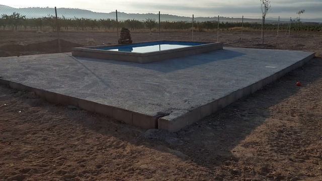 Donny, Travis, Zapatero, Rayo ASOCIACION VALENCIA PERRERA DOGS 11 August 2016 смотреть онлайн