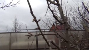 ВЕСЕННЯЯ ОБРАБОТКА САДА в конце апреля.  ТЕХНИКА ОБРАБОТКИ деревьев. ЧЕМ и КАК  КАК ПРАВИЛЬНО