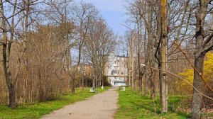 МБУ «Центр городского хозяйства города Днепрорудный» ежедневно наводят порядок на территории города