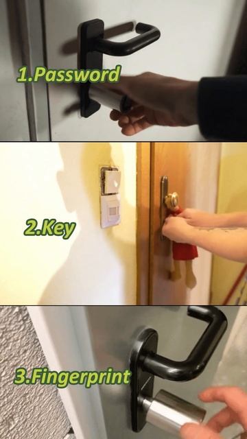 Which unlocking way will you choose?1.password 2.key 3.fingerprint welock smartlock schloss