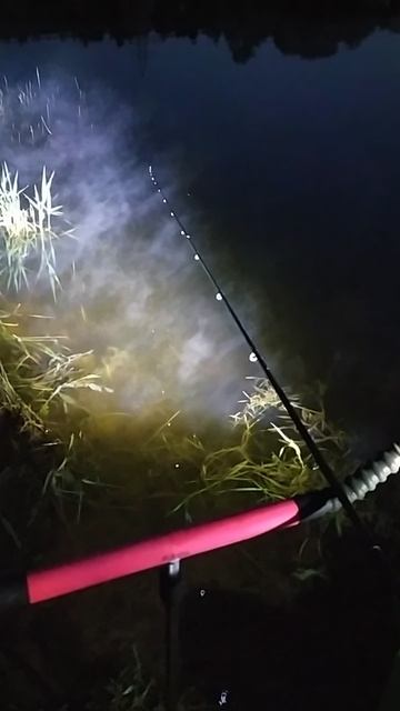 VID_20240706_223109 смотреть онлайн