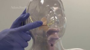 Манекен для отработки навыков введения назогастрального и желудочного зондов