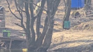 30.03.25 г. Парк отдыха водопад