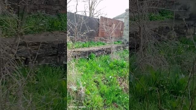 Нашли заброшенное здание прямо за домом