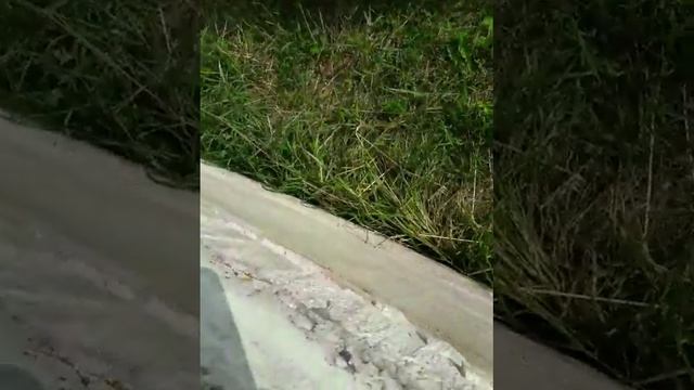 строительство дома из газосиликатного блока этап 1 смотреть онлайн