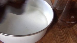 Лучшие способы полива саженцев