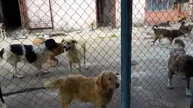 Miro Nima Alex Taro Margaux Nino Lotti 180916 смотреть онлайн