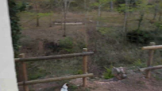 Барбекю в Испании. Поехали жарить шашлыки после работы смотреть онлайн