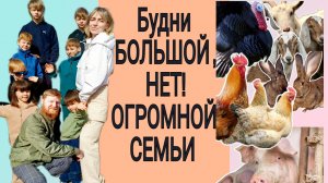 7 детей и больше СТА ГОЛОДНЫХ РТОВ ЕЖЕДНЕВНО #многодетные #фермеры #деревня #заработок #усыновите