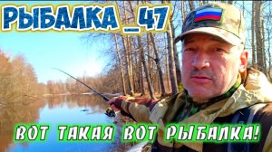 Рыбалка на реке в трёх шагах от дома!