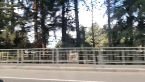 УТРЕННИЙ АДЛЕР БЕЗ ПРОБОК