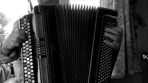 Theme from paradise - на баяне