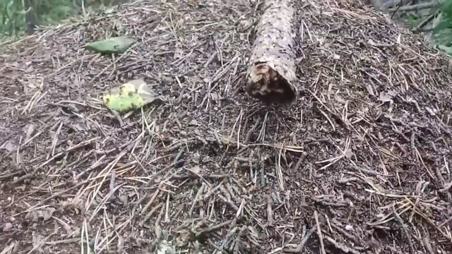 Байкал смотреть онлайн