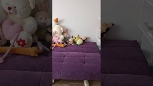 спасибочки