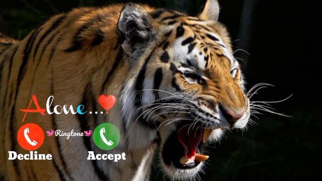 Tiger king sound | Tiger ringtone | New Ringtone SMS- message / love ringtone | trending ringtone 👑