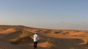 855674-hd_1920_1080_24fps