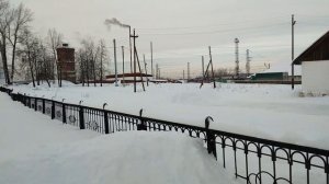 Шаля за полчаса