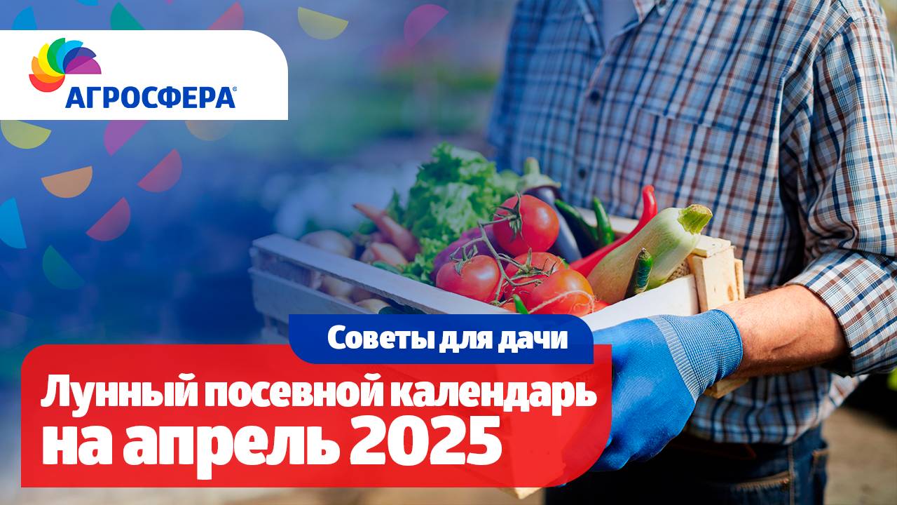Посевной календарь на апрель 2025, календарь огородника / агросфера.рф
