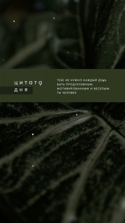 ЦИТАТА ДНЯ🌀 ©DegDi🔥
