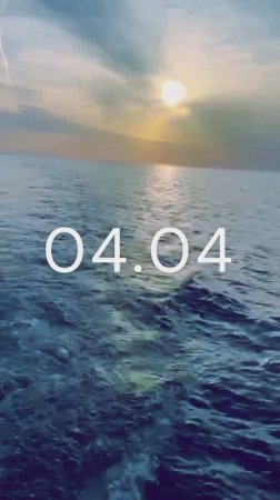04.04