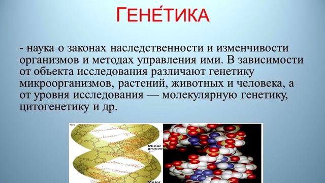 УКОРЕНЯЕМОСТЬ ЧЕРЕНКОВ ВИНОГРАДА 100 %. ПРАВДА ??? смотреть онлайн