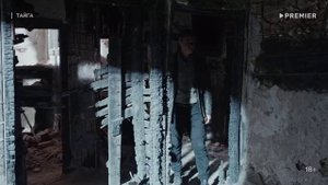 Тайга (сериал 2025) - трейлер