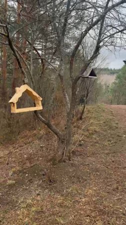 Птичья столовая в Кисловодском парке
