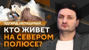 Эдгард Запашный. Обитатели Арктики, лекарства для животных, японский журавль и встреча со зверем