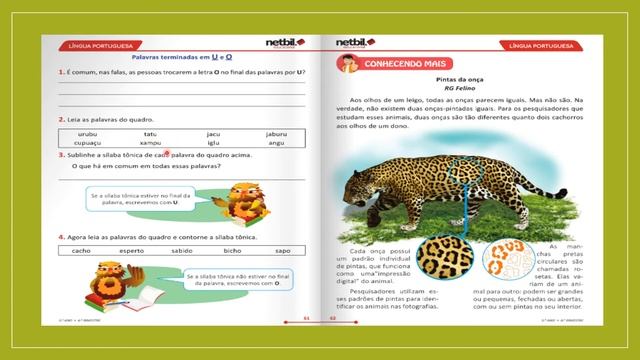 3° Ano 26/10. смотреть онлайн