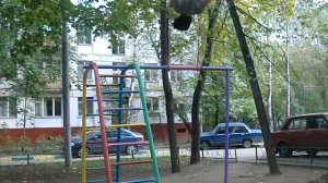 Солнышко на качелях. 32 оборота