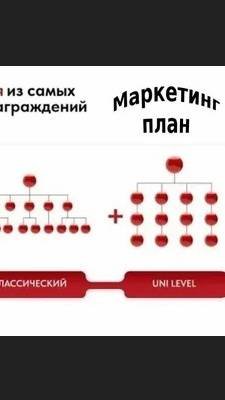 Маркетинг план компании Whieda за 10 мин