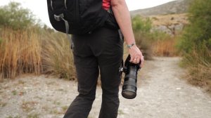 3198576-hd_1920_1080_30fps