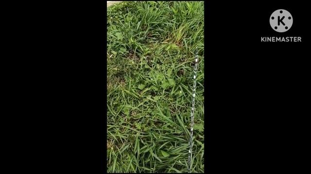 Дома из бруса в Хабаровске. смотреть онлайн