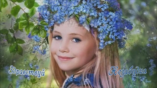 Ион Суручану . Незабудка . смотреть онлайн