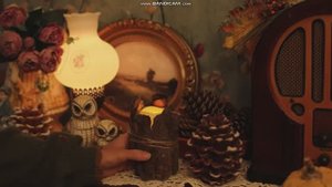 Our Cottage Life. Приближается осень. Дождливые и уютные дни.