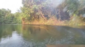 Perahu Remot test bruahless D4250 800KV | RCB BELITUNG