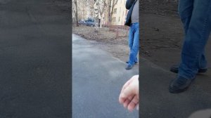 Прогулка по Товарищескому пр