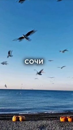 Топ направлений на майские🤩