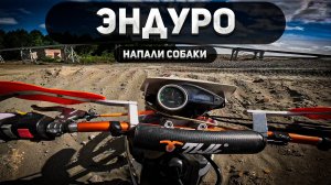 Покатушка на Эндуро - Лес, песок и нападение собак!