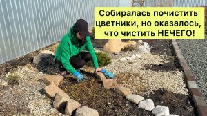 Все многолетники УНИЧТОЖЕНЫ!😱 Сюрприз после зимы!