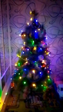 VID_20241229_185824.mp4