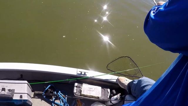 Best Late Winter Roosevelt Lake Bass Fishing Methods - Drop Shotting Worms in Deep Water - Phoenix