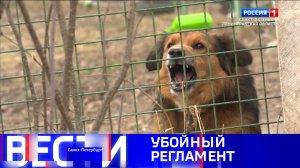 Вести Санкт-Петербург. Выпуск 14.30 от 30.03.2025