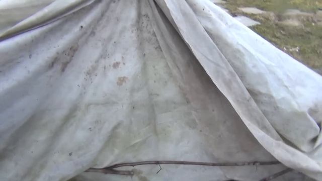 ВНИМАНИЕ !!! ВОЗВРАТНЫЕ ЗАМОРОЗКИ с 15 Апреля !!! смотреть онлайн